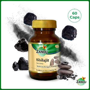 zandu shilajit